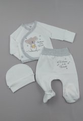 Комплект для новорожденных Коала с распашонкой