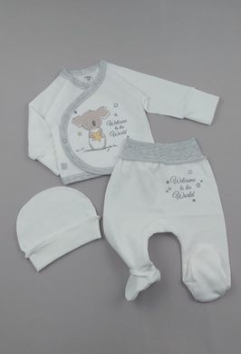 Комплект для новорожденных Коала с распашонкой