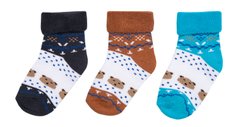 Дитячі шкарпетки для хлопчика махрові Ведмедики 3 пари