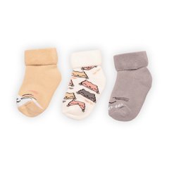 Дитячі шкарпетки для малюка махрові Котики 3 пари