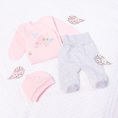 Теплый комплект для новорожденных розовый Птички