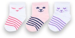 Шкарпетки для дівчинки бавовна Котики 3 пари