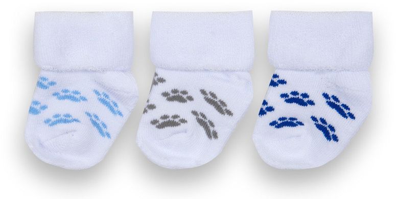 Дитячі шкарпетки для хлопчика махрові Лапки 3 пари