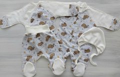 Теплый комплект для новорожденных серый Мишки
