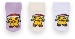 Детские носки для девочки махровые с рысунком 3 пары